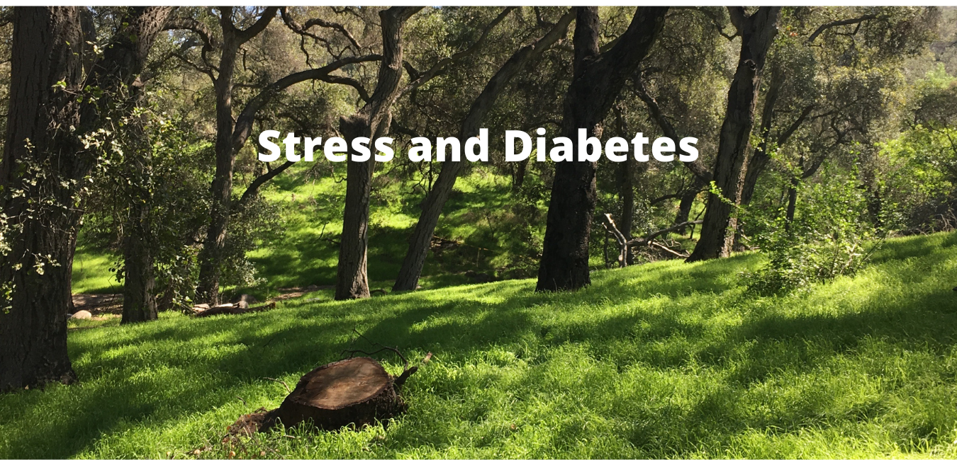 stress management in type 2 diabetesiabetes