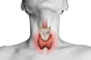 Thyroid hormones-image